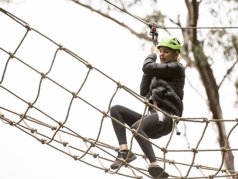 Lorne: Live Wire Park Super Circuit Ticket - A Closer Look at the Live Wire Park Super Circuit