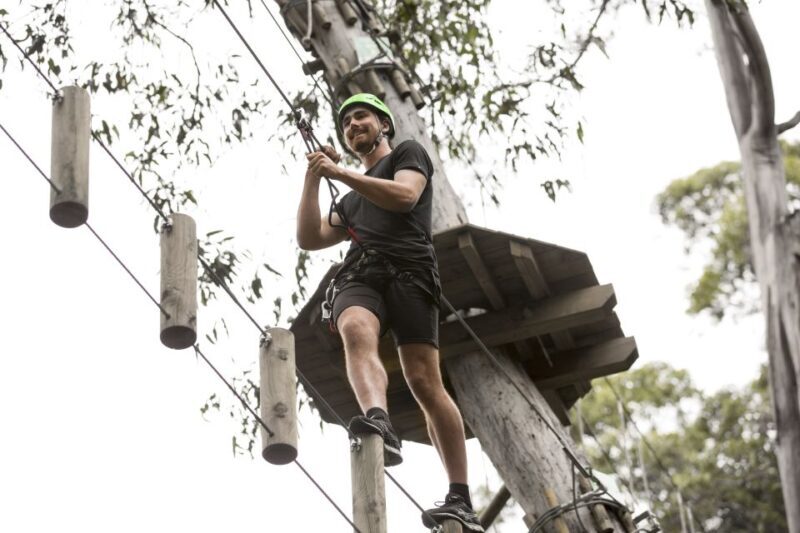 Lorne: Live Wire Park Super Circuit Ticket - Who Should Consider This Tour?