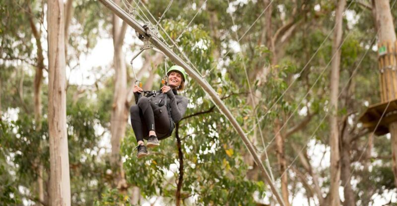 Lorne: Live Wire Park Ticket with Zip Line Rollercoaster - A Detailed Look at the Experience