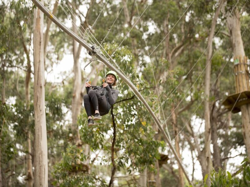 Lorne: Live Wire Park Ticket with Zip Line Rollercoaster - FAQ