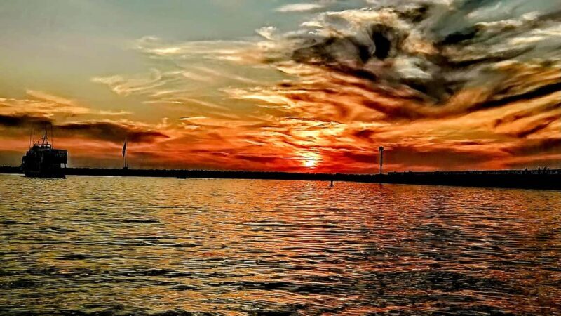 Los Angeles #1: Luxury Boat Cruise-Wine, Cheese & Sea Lions - An In-Depth Look at the Experience