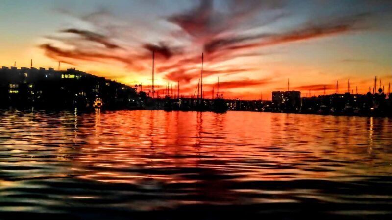 Los Angeles #1: Luxury Boat Cruise-Wine, Cheese & Sea Lions - Final Thoughts