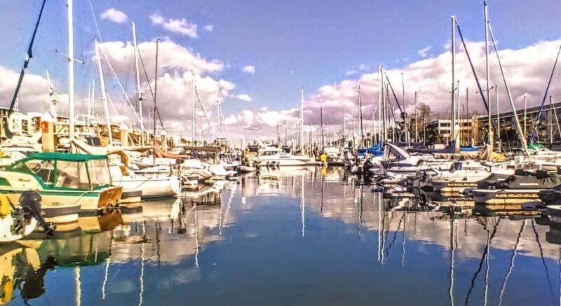 Los Angeles #1: Luxury Boat Cruise-Wine, Cheese & Sea Lions - Summary