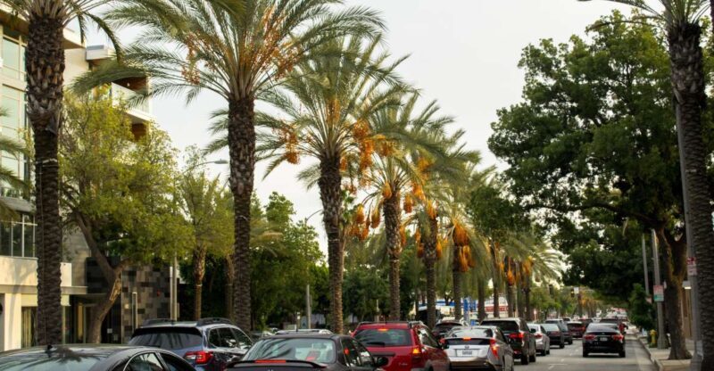 Los Angeles: 3-Hour Private Driving Tour w/ Local Guide - Key Points