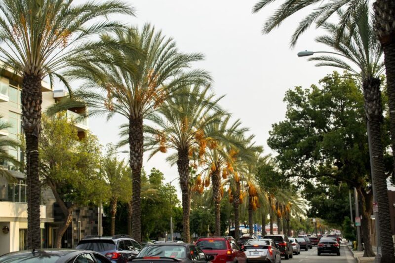 Los Angeles: 3-Hour Private Driving Tour w/ Local Guide - Who Should Consider This Tour?