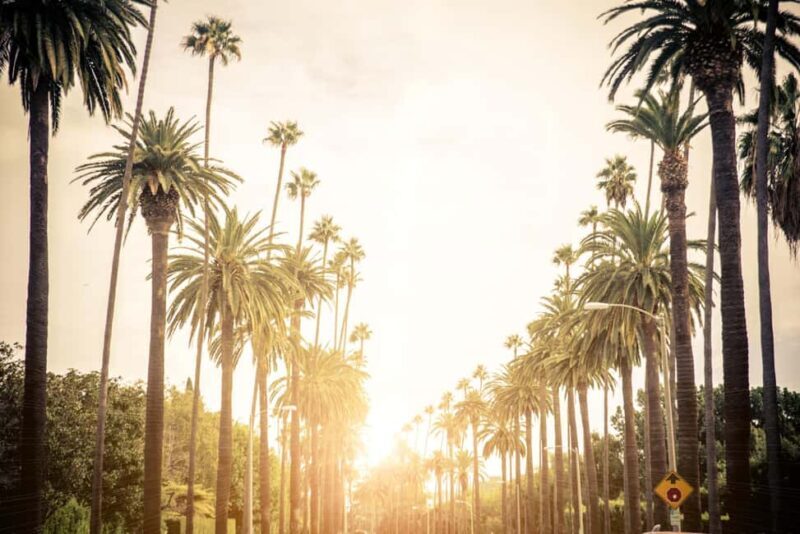 Los Angeles 4-Hour Private Tour: Beverly Hills & More - Potential Drawbacks
