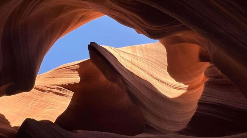 Los Angeles: 6-Day Southwest Guided Tour to Las Vegas - Day 3: Yellowstone National Park — The Geysers and Wildlife