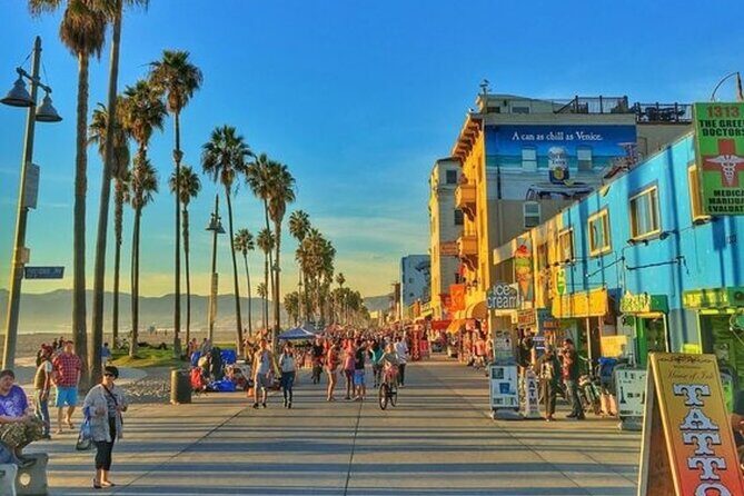 Los Angeles Half-Day Private Car Tour With a Guide - An In-Depth Look at the Los Angeles Private Tour