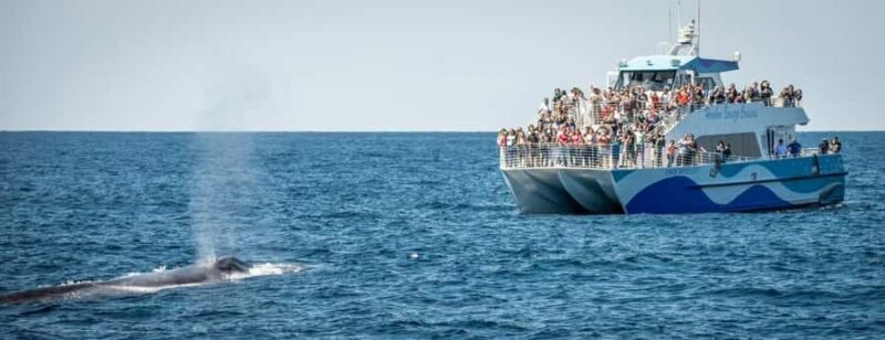 Los Angeles Harbor Breeze Cruise & Battleship USS Iowa Entry - Who Should Consider This Tour?