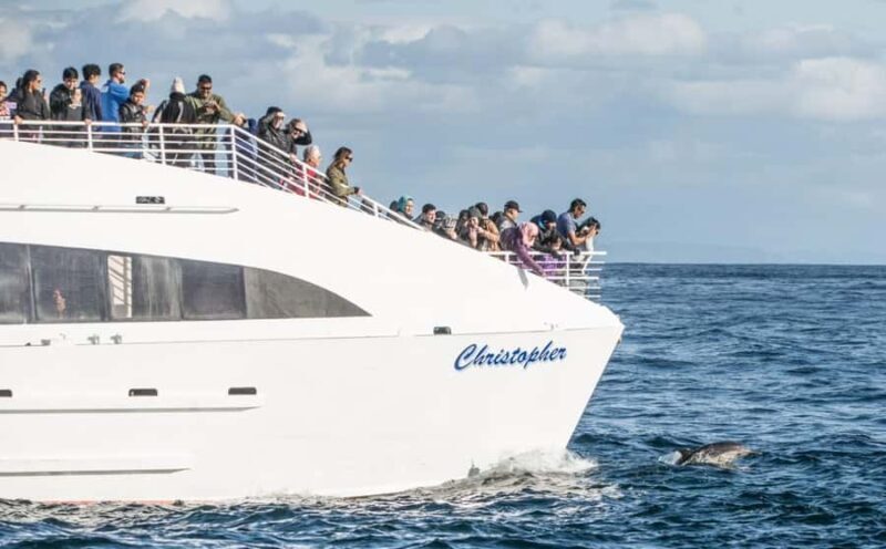 Los Angeles Harbor Breeze Cruise & Battleship USS Iowa Entry - The Sum Up: A Maritime Day Worth Your Time