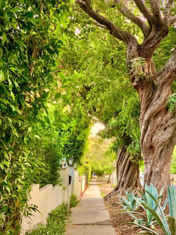 Los Angeles: Hollywood Sunset Walking & Hiking Tour - The Sum Up