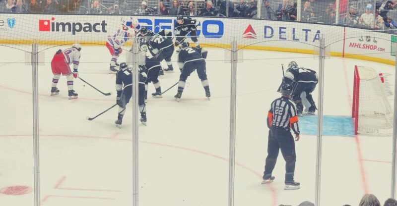 Los Angeles: LA Kings Ice Hockey Game Ticket - Who Should Consider This Experience?