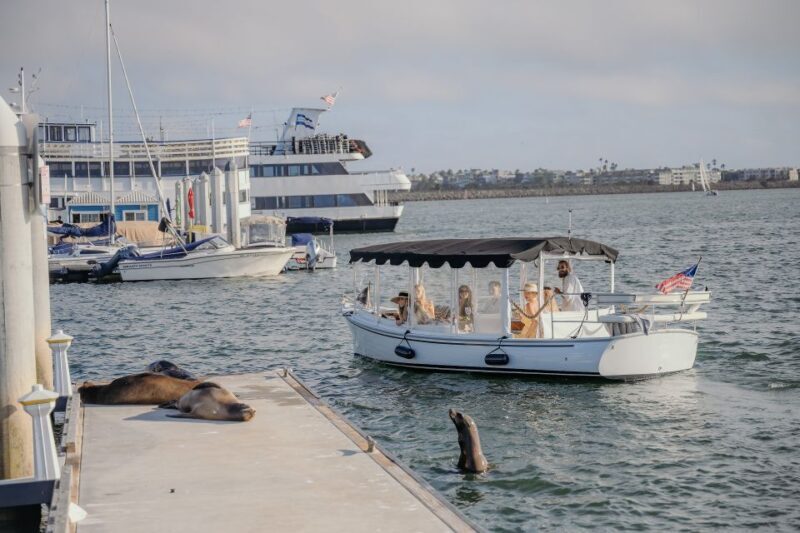 Los Angeles: Luxury Cruise with Wine, Cheese & Sea Lions - Who Will Love This Tour?