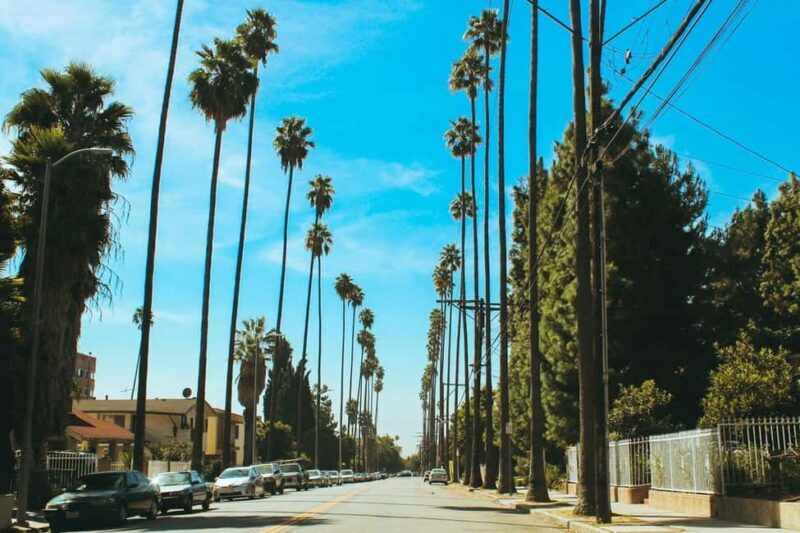 Los Angeles: Private Full-Day or Half-Day City Tour - Final Thoughts