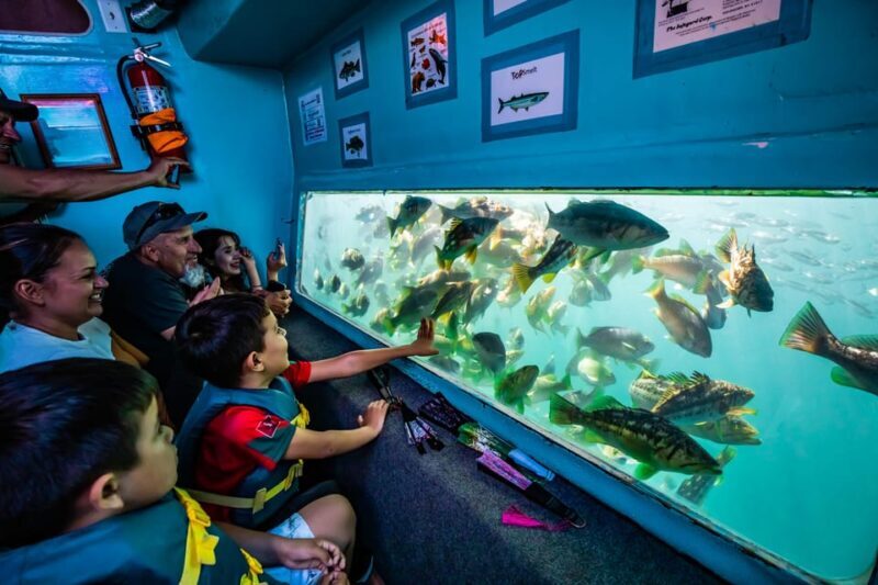 Los Angeles: Redondo Beach Glass Bottom Boat Cruise - Key Points