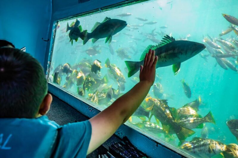 Los Angeles: Redondo Beach Glass Bottom Boat Cruise - FAQ