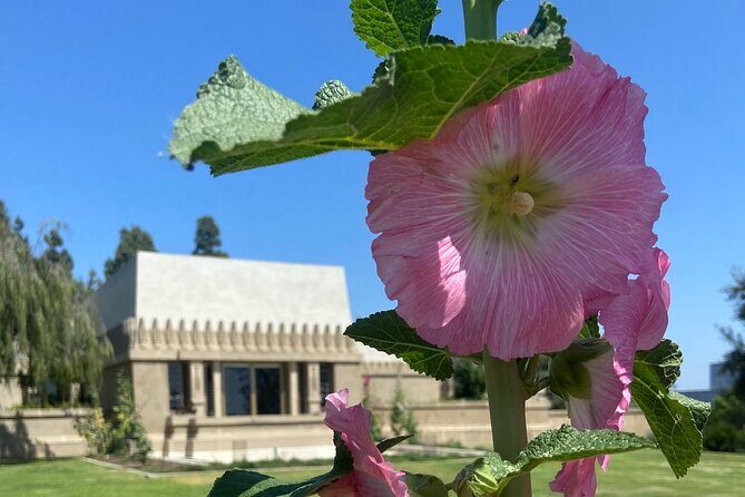 Los Angeles Taco Tour - A Deep Dive into the Los Angeles Taco Tour