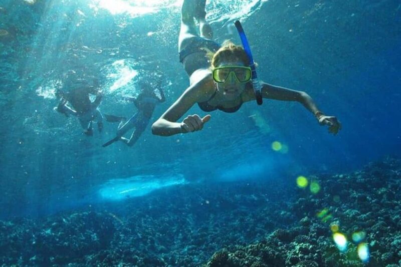Los Arcos: Snorkel Tour in Los Arcos and Madagascar - FAQ