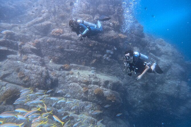 Los Cabos 1 tank dive to Lands End (Certified Divers) - An In-Depth Look at the Los Cabos 1 Tank Dive Experience