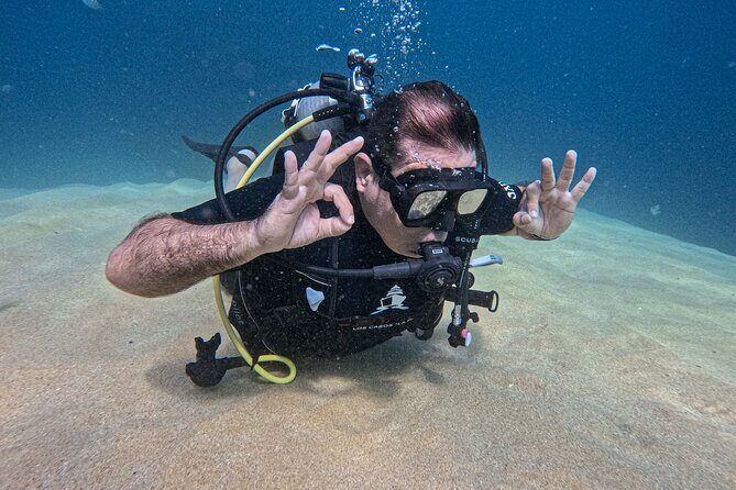 Los Cabos 2 tanks dive to The Corridor (Certified divers) - Key Points