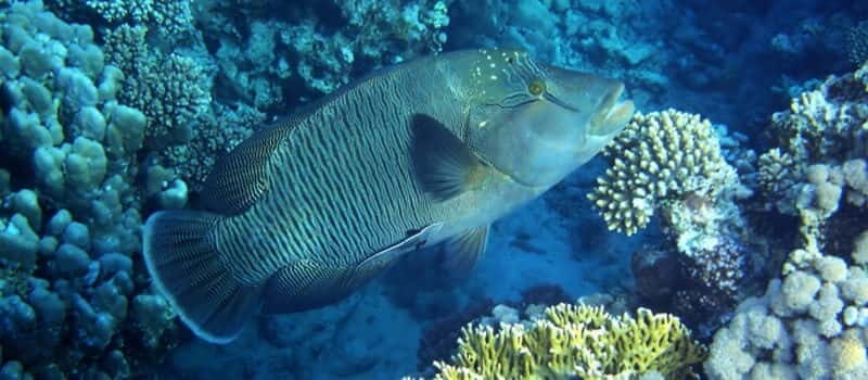 Los Cabos: 3-Hour Introductory Scuba Diving Adventure - What You Can Expect from the Experience