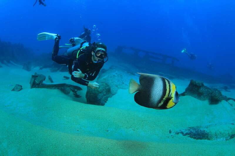 Los Cabos: 3-Hour Introductory Scuba Diving Adventure - Is This Tour Right for You?