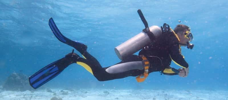 Los Cabos: 3-Hour Introductory Scuba Diving Adventure - The Sum Up