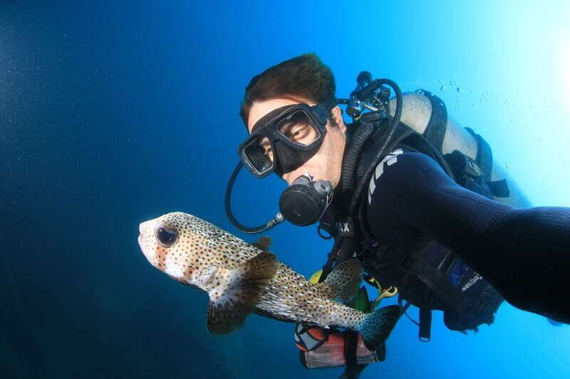 Los Cabos: 3-Hour Introductory Scuba Diving Adventure - Frequently Asked Questions (FAQs)