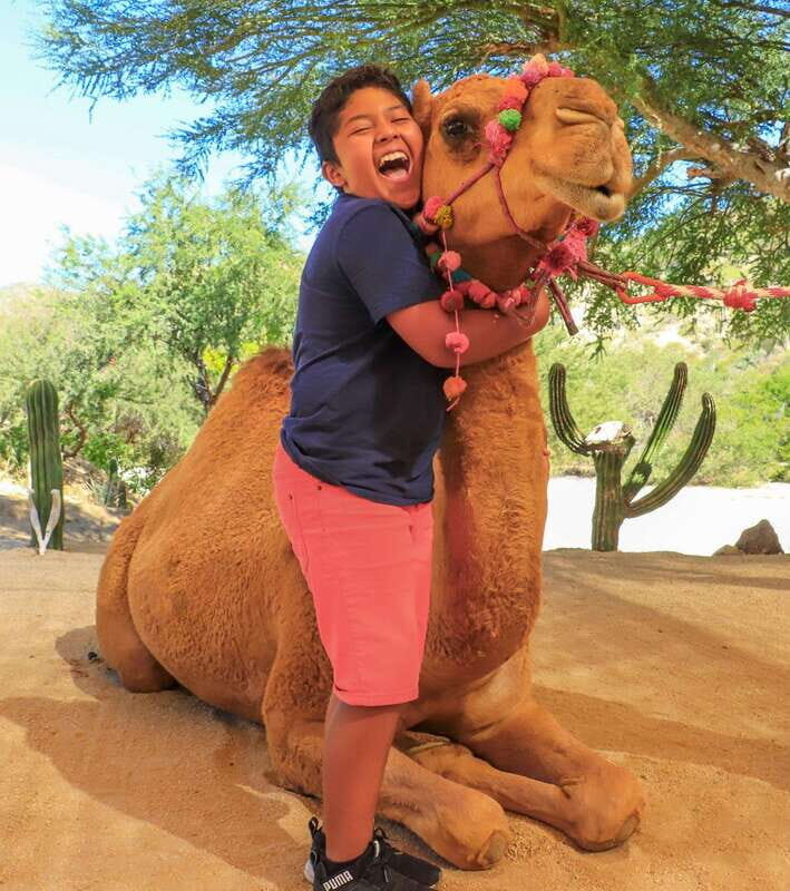 Los Cabos: Adventure Pass at Wild Canyon - The Sum Up
