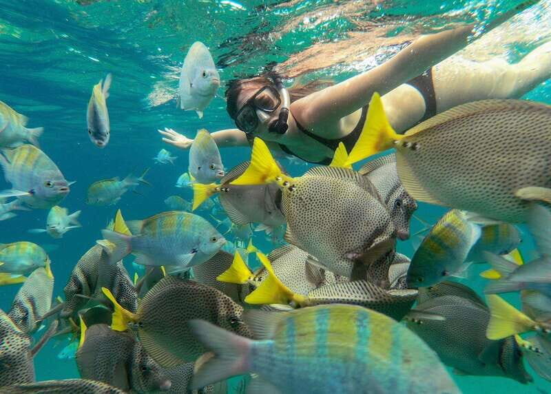 Los Cabos Arch & Lovers Beach Tour + Snorkeling Tour - FAQ