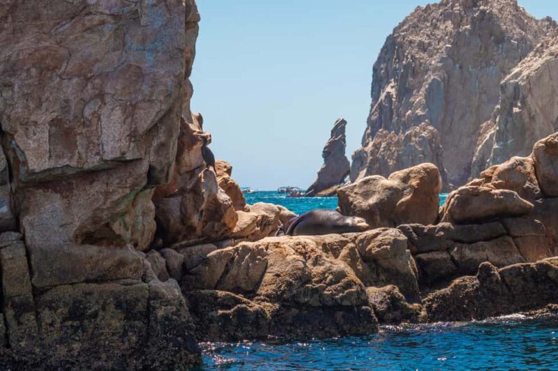 los cabos arch tour & drinks +snorkel tour - Authentic Traveler Perspectives
