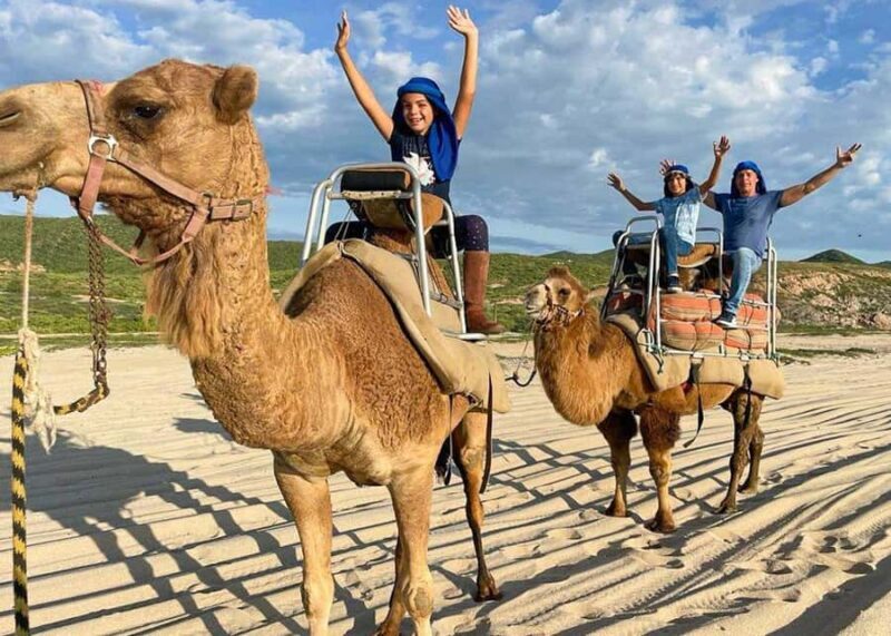 Los Cabos: ATV, Camel, and Sky Bike Tour with Tequila - What the Reviews Say