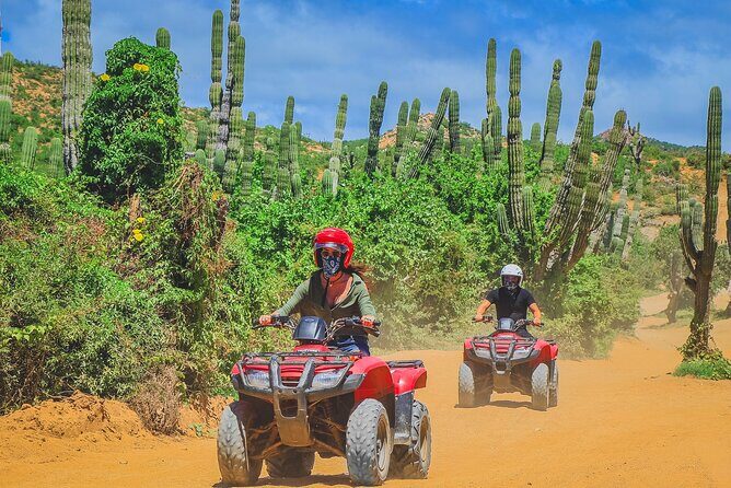 Los Cabos ATV Tour Double Rider - The Practical Details: Safety, Cost, and Whats Included
