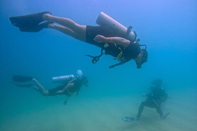 Los Cabos Beginner Scuba Dive Experience - Key Points