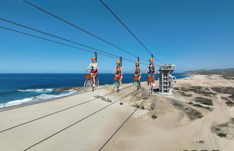 Los Cabos: Cactus Day Pass - The Experience in Detail: What to Expect