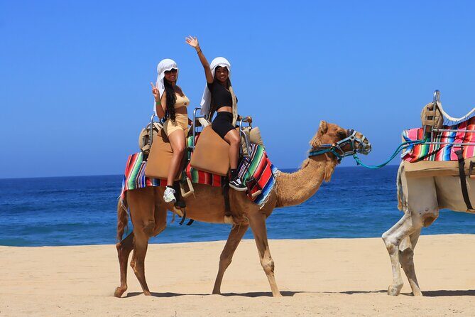 Los Cabos Camel Ride and Tequila Tasting Experience - The Realities Behind the Experience