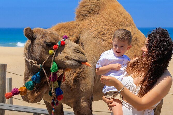 Los Cabos Camel Ride and Tequila Tasting Experience - The Bottom Line – Is It Worth It?