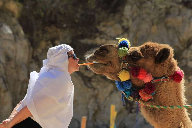 Los Cabos: Camel Ride in the Canyon & Thrilling Water-Slides - Final Thoughts