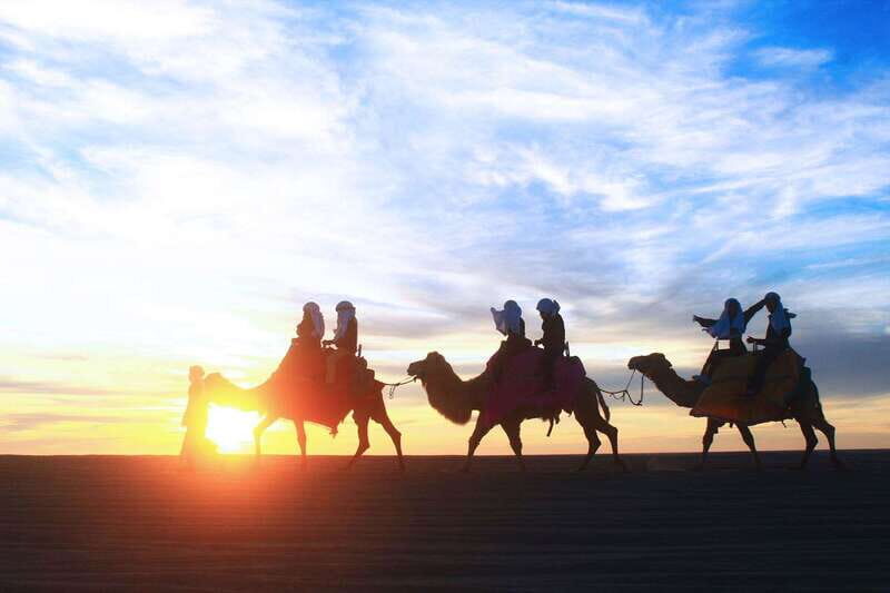 Los Cabos: Camel Ride Safari with Lunch and Tequila Tasting - Exploring the Experience in Detail