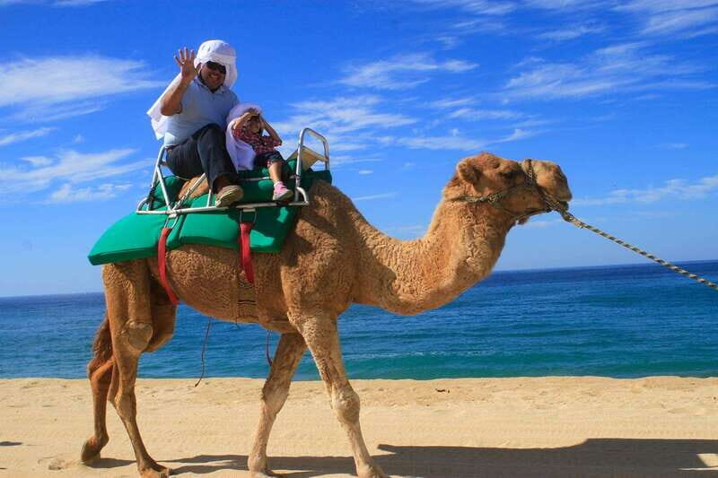 Los Cabos: Camel Ride Safari with Lunch and Tequila Tasting - Final Thoughts