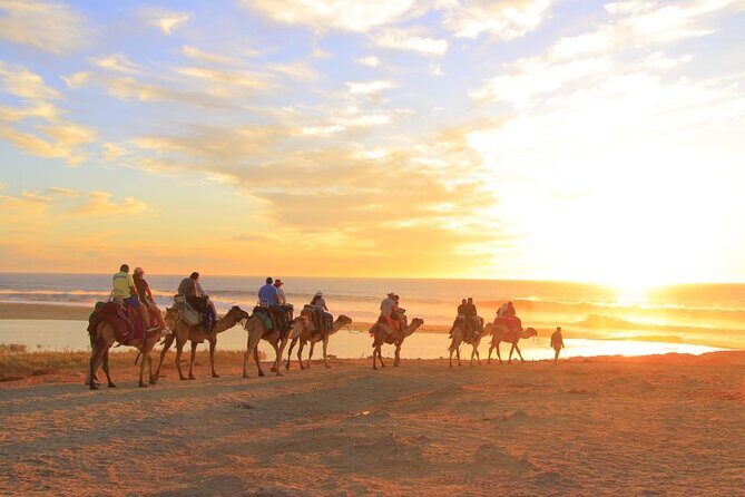 Los Cabos Camel Riding and ATV with Tequila Tasting - The Sum Up