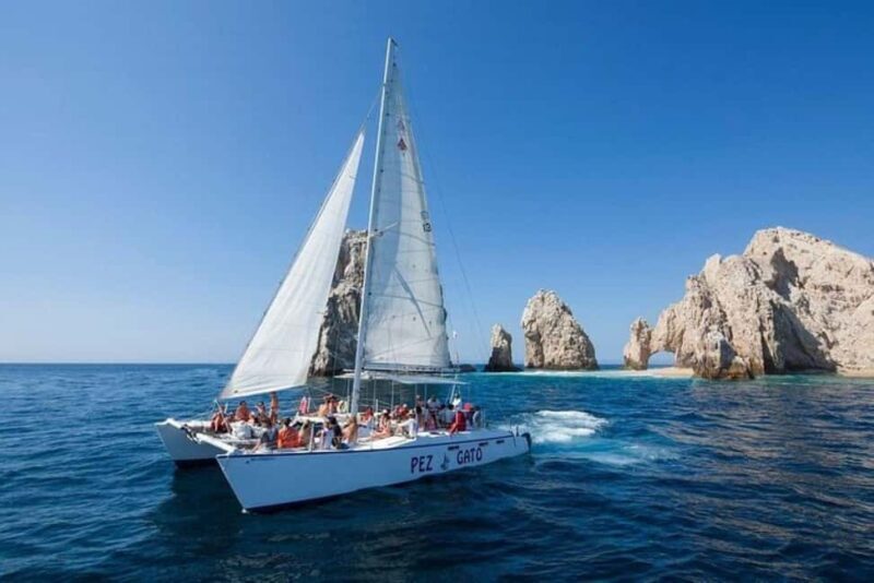 Los Cabos: Catamaran Whale Watching Cruise - An In-Depth Look at the Los Cabos Whale Watching Catamaran Cruise