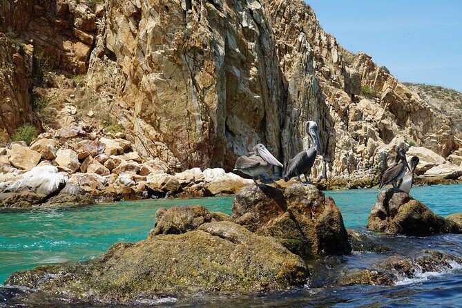 Los Cabos Deluxe City Tour: San Jose, San Lucas and The Arch - FAQs