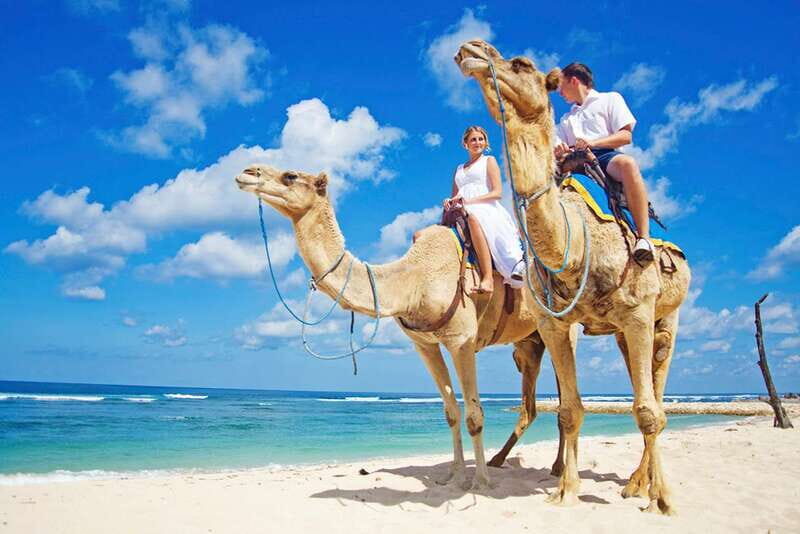 Los Cabos: Desert & Sea Camel Safari Tour with Lunch - Who is this tour best suited for?