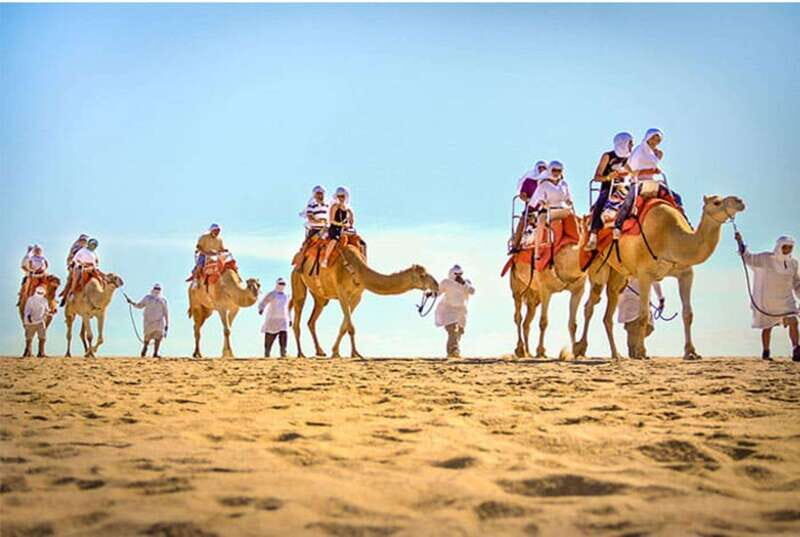 Los Cabos: Desert & Sea Camel Safari Tour with Lunch - Final thoughts