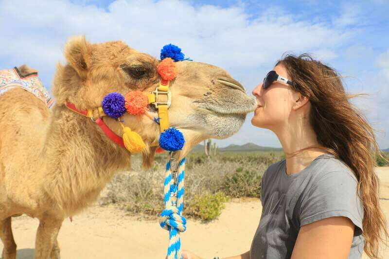 Los Cabos: Desert & Sea Camel Safari Tour with Lunch - FAQ