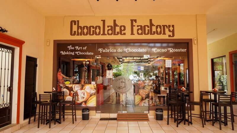 Los Cabos Famous Arch cruise, City tour and Lunch - Key Points