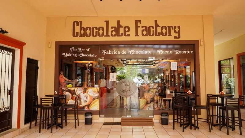 Los Cabos Famous Arch cruise, City tour and Lunch - Practical Details: What You Should Know