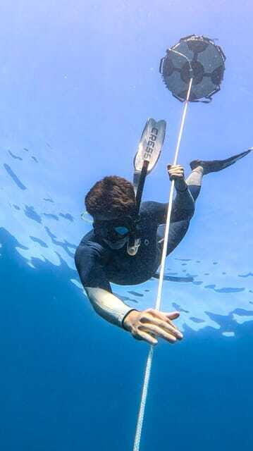 Los Cabos: freediving sessions - Final Thoughts
