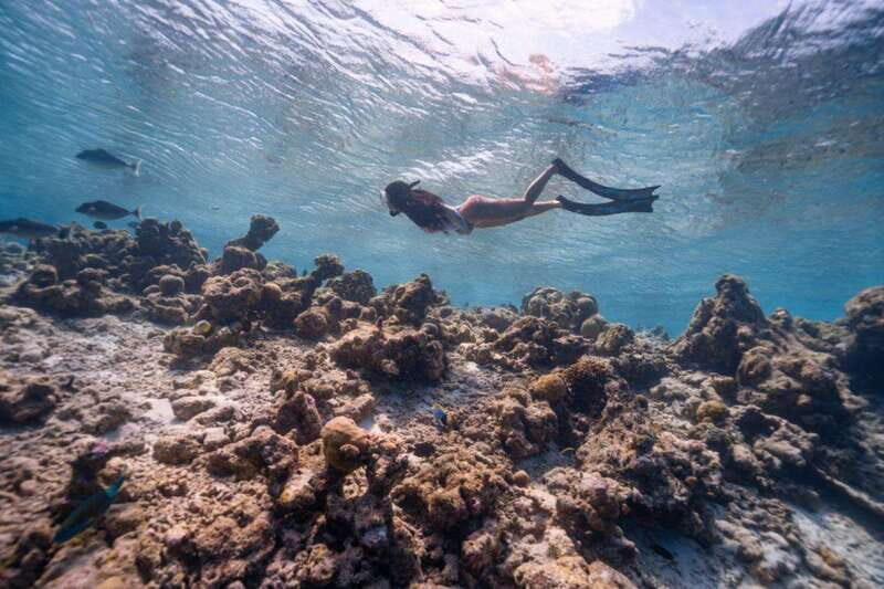 Los Cabos: Glass-Bottom Kayak and Snorkel Tour at Two Bays - The Value of the Experience